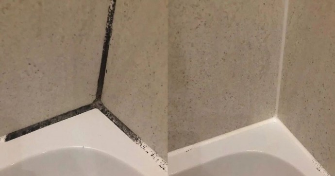 Эффективные средства борьбы с плесенью в ванной и на стенах