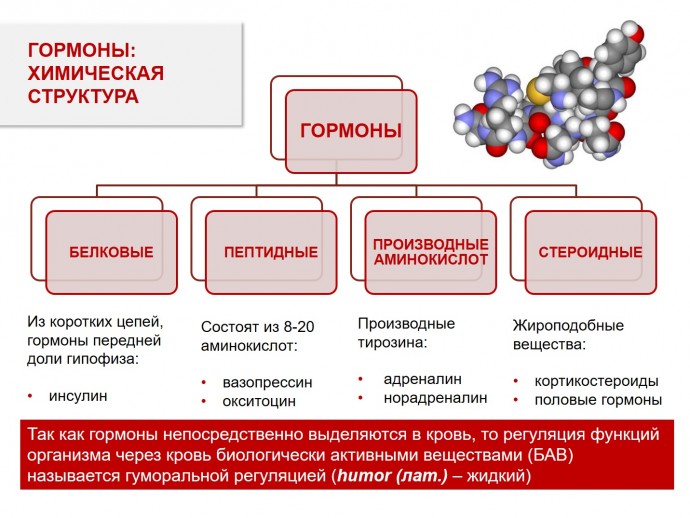 Природные способы сбалансирования гормонов