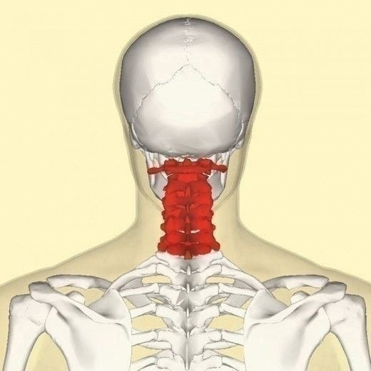 ​Что важно знать о взаимосвязи гипертонии и остеохондроза шейного отдела позвоночника