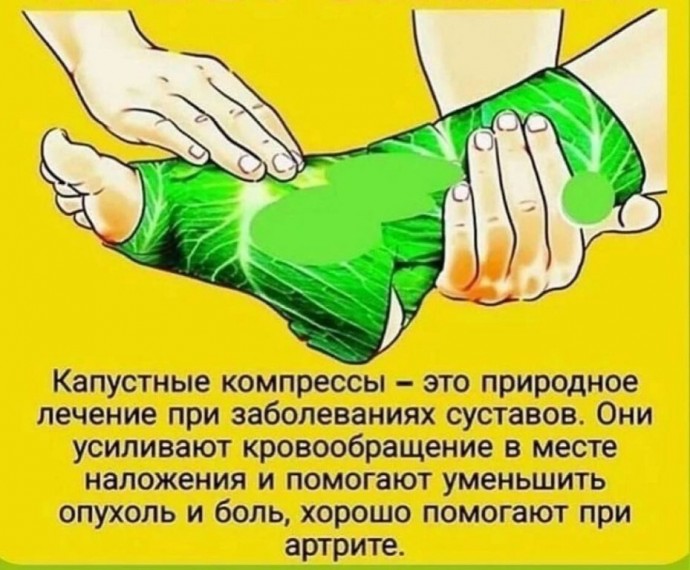 ​Волшебство капустных компрессов