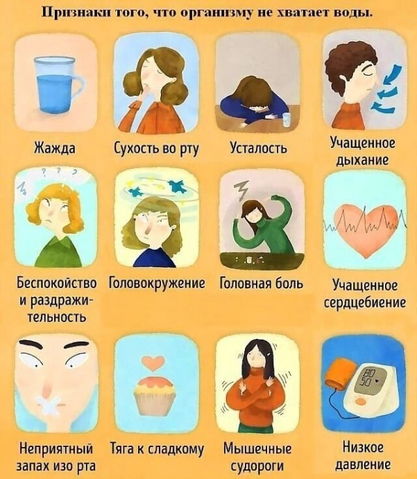 ​Хватает ли воды вашему организму