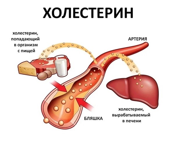 ​Невероятный рецепт для снижения уровня холестерина