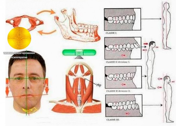 Остеопатия: связь позвоночника и прикуса