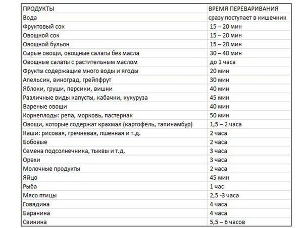 ​Время переваривания пищи в желудке